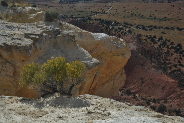 View from Chimney Rock Trail